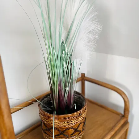 Dom Na Wzgorzu Z Widokiem Na Jezioro Gasthuis Brodnica Dolna