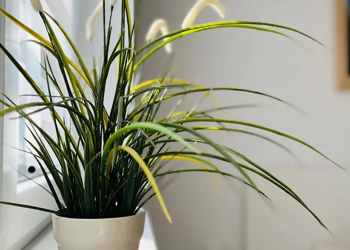 Dom Na Wzgorzu Z Widokiem Na Jezioro بيت ضيافة 3*